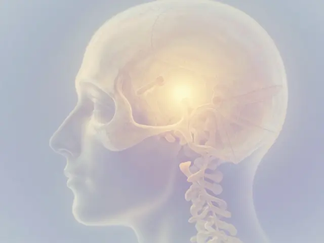 Thérapie Crâniosacrée : Pourquoi Cette Approche Manuelle Révolutionne Votre Santé
